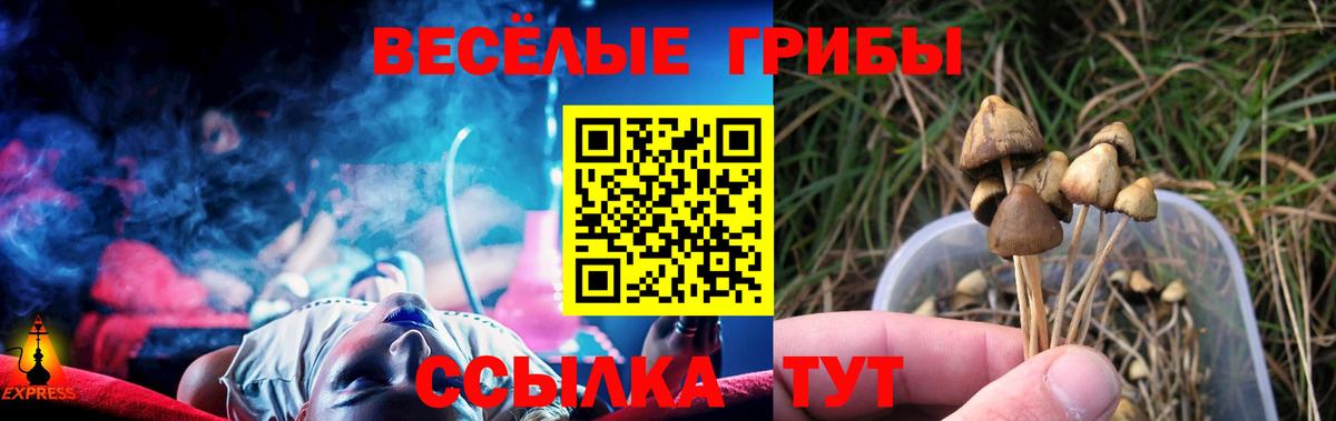 Галлюциногенные грибы Magic Shrooms  Вход с VPN  Шахты 