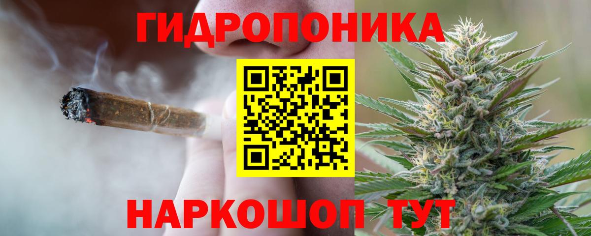 Марихуана планчик  Каннабис Bruce Banner  Шахты  Вход с VPN 